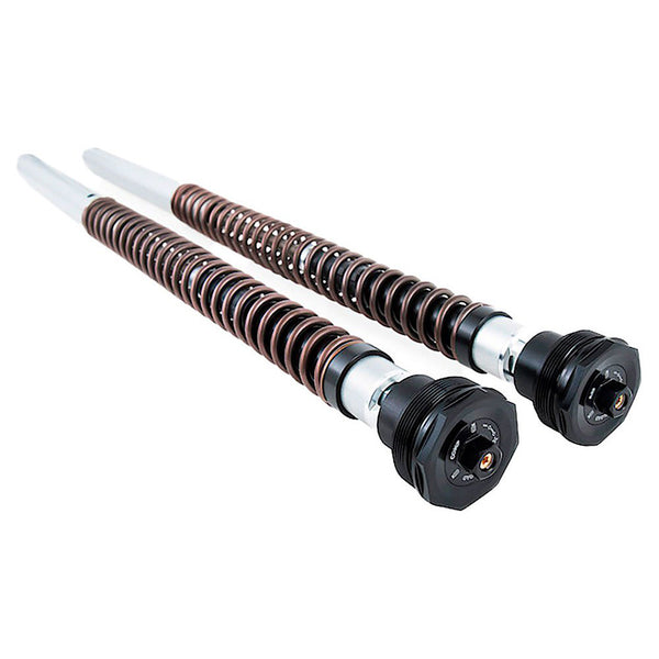Unit Garage FKS233 Cartridge fork Öhlins Nix 22mm Harley Davidson CVO Road Glide (2017-2022)
