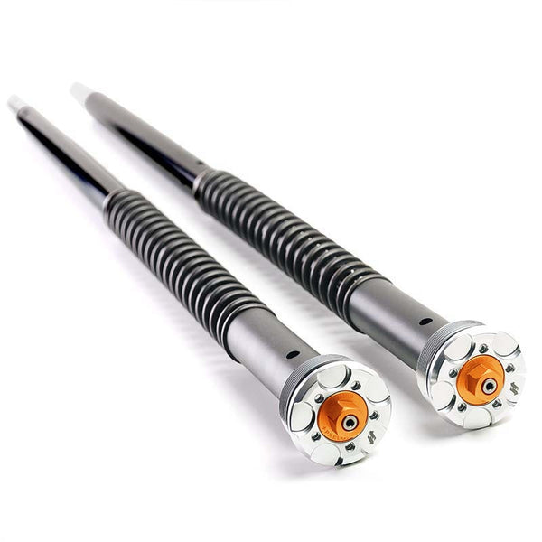 Unit Garage 305_A09E Fork Cartridges for Aprilia Dorsoduro 900 (2016 until now)