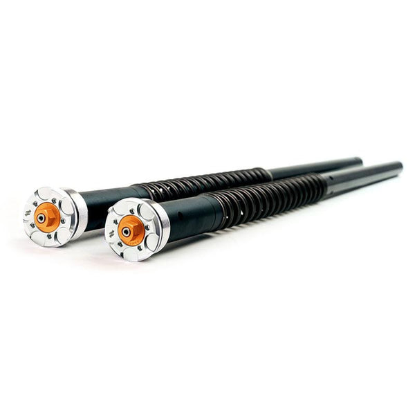 Unit Garage 305_A10E Fork Cartridges for Aprilia Shiver 900 (2017 until now)