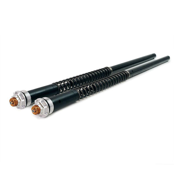 Unit Garage 105_D45E Fork Cartridges Ducati Scrambler 1100