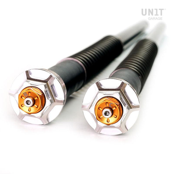 Unit Garage 105_D45E Fork Cartridges Ducati Scrambler 1100