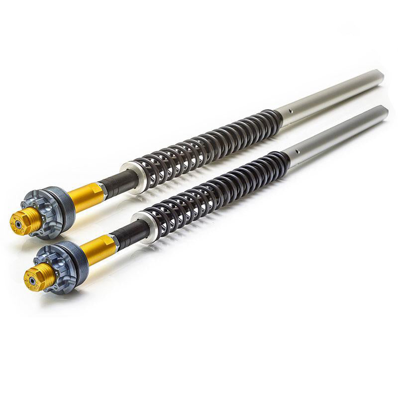 Unit Garage 105_D30E Fork Cartridge Ducati Scrambler Desert Sled (2017 until now)