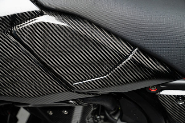 CMT Compositi Carbon Front Side Panel Set | Ducati Hypermotard 698 Mono / Ducati Hypermotard 698 Mono RVE | DH0008