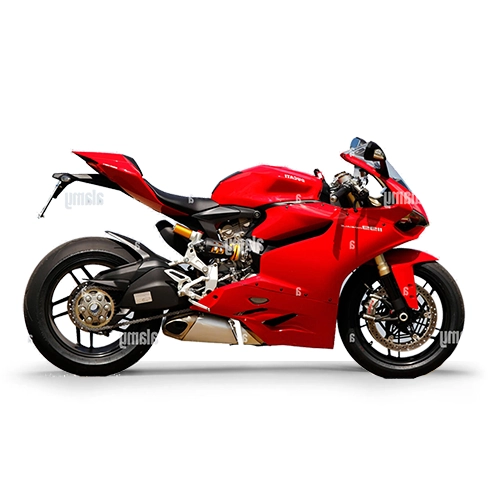 DB RACE DAEMON – Ducati Panigale 1199 (2011–2015) detail