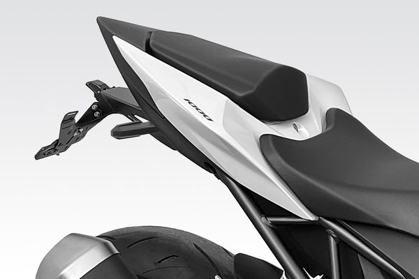 DPM International licence plate kit for HORNET 1000 2025 | R-01018X