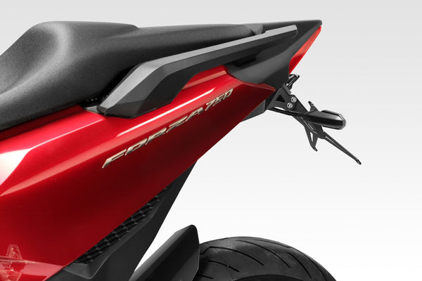 DPM International "SS" License plate kit for FORZA 750 | R-01021
