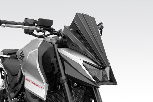 DPM Windscreen WARRIOR for Hornet 750 | R-01040