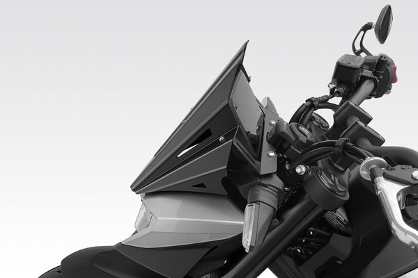 DPM Windscreen WARRIOR for Hornet 750 | R-01040