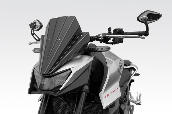 DPM Windscreen WARRIOR for Hornet 750 | R-01040