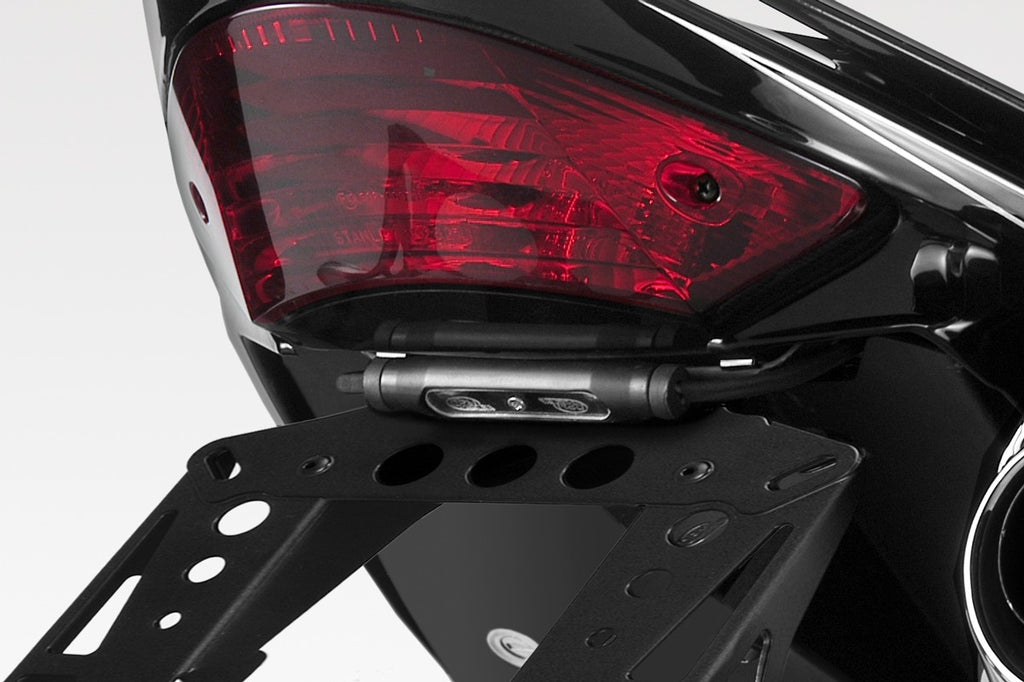 DPM Plate light MICROSTILO for HORNET 600 03-04 / HORNET 600 05-06 | R-0176