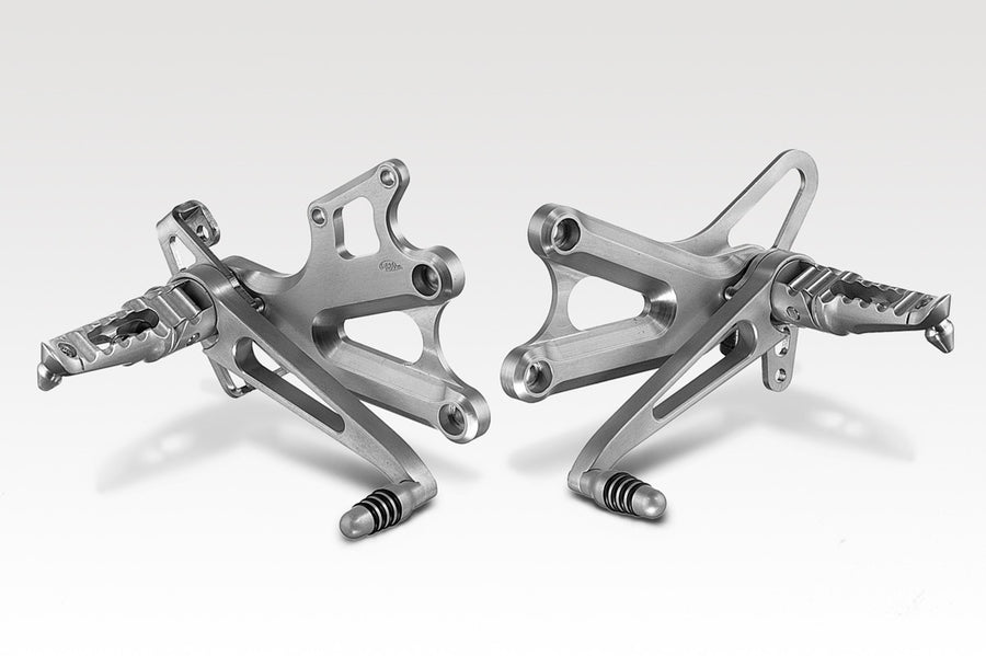DPM Kit controls RACING for CBR 900 00-01 | R-0204A