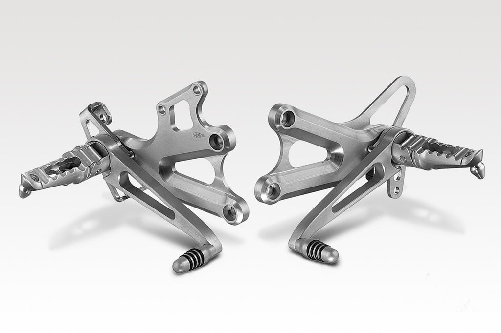DPM Kit controls RACING for CBR 900 00-01 | R-0204A