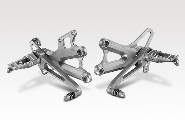 DPM Kit controls RACING for CBR 900 00-01 | R-0204A