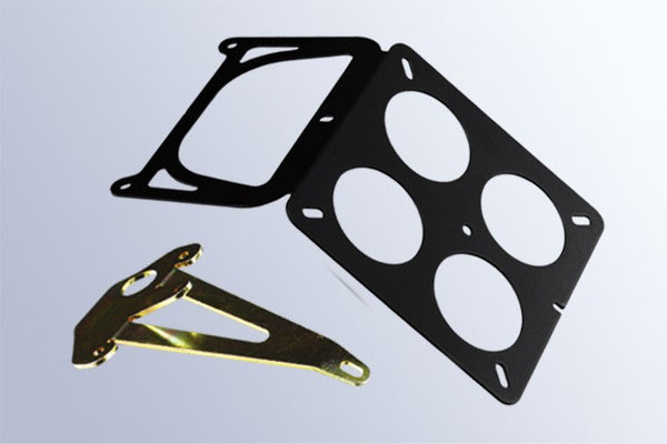 DPM Kit license plate for RAPTOR 650-1000 < 05 | R-0300