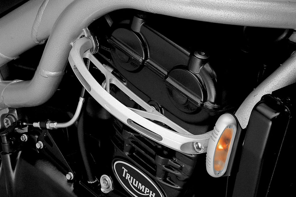 DPM Engine guards for SPEED TRIPLE 00-01 | R-0360B