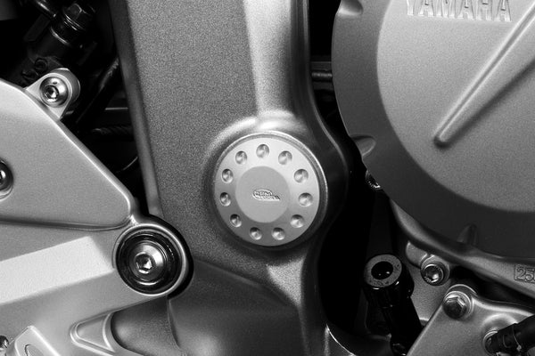 DPM Big fork axle covers for FZ6 600 04-07 | R-0417B