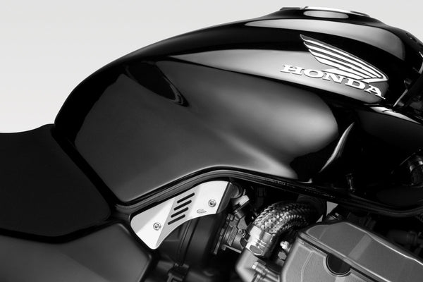 DPM Intake-case protections for HORNET 900 | R-0439P