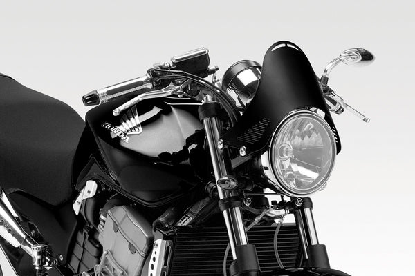 DPM Windshield ALUEXTREME for HORNET 900 | R-0450B