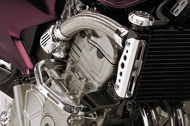 DPM Radiator lateral guards for HORNET 600 99-02 / HORNET 600 03-04 & More | R-0455P