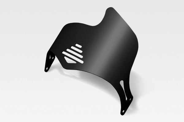 DPM Light instruments protection for FZ6 600 04-07 | R-0525B