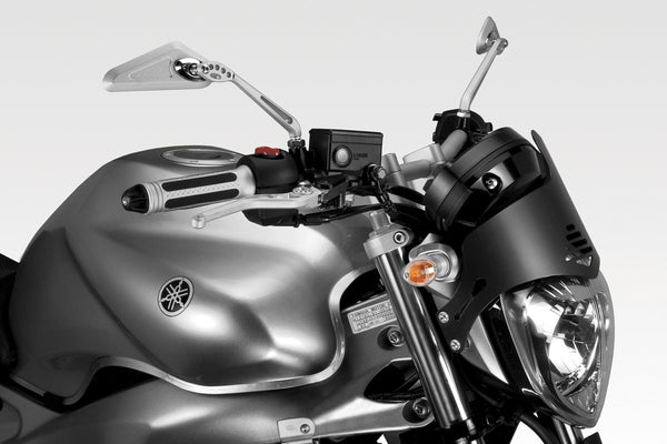 DPM Light instruments protection for FZ6 600 04-07 | R-0525B