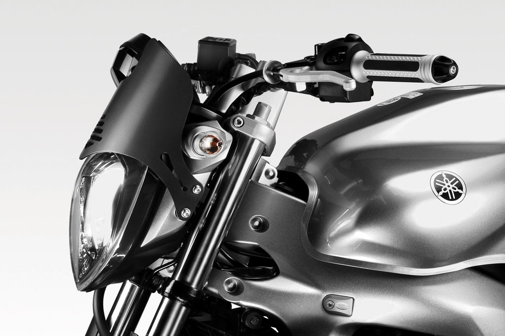 DPM Light instruments protection for FZ6 600 04-07 | R-0525B