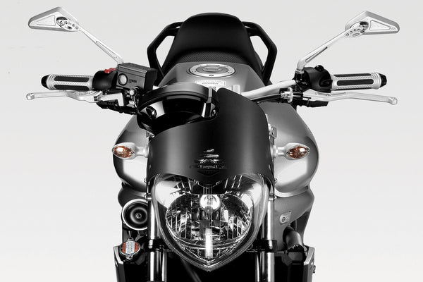 DPM Light instruments protection for FZ6 600 04-07 | R-0525B