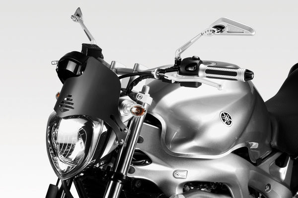 DPM Light instruments protection for FZ6 600 04-07 | R-0525B
