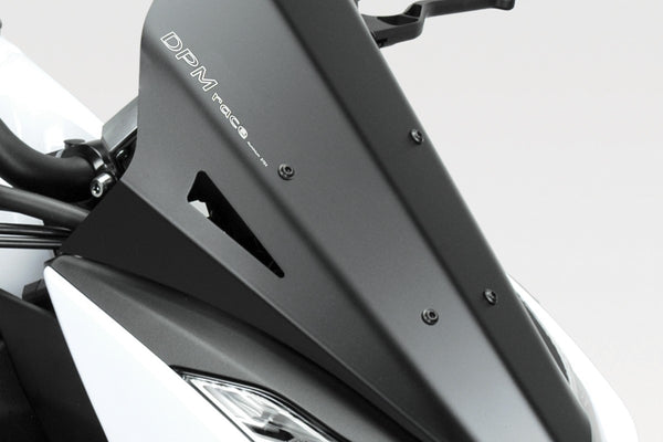 DPM Windshield WARRIOR for Z1000 2010-12 | R-0617