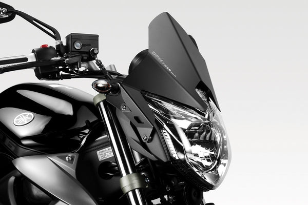 DPM Windshield WARRIOR for XJ6N 2009-16 | R-0664