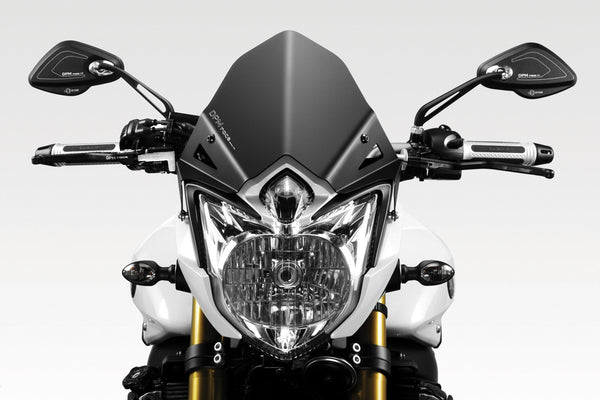 DPM Windshield WARRIOR for FZ8 2010-15 | R-0680