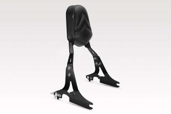 DPM Fast removable sissybar for XL883 Custom 1200 LOW 2006-09 / XL883 STANDARD -L -R -N 2006-09 | S-0482N