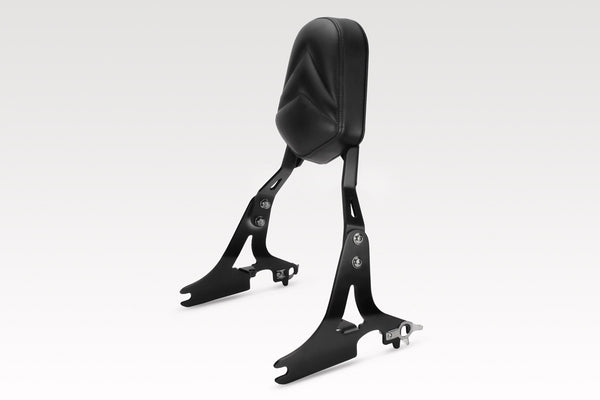 DPM Fast removable sissybar for XL883 Custom 1200 LOW 2006-09 / XL883 STANDARD -L -R -N 2006-09 | S-0482N