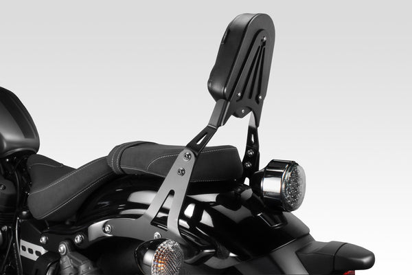 DPM Sissybar for XV 950R 2014-17 | S-0711