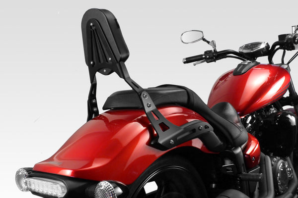 DPM Sissybar for XVS 1300 Custom | S-0780