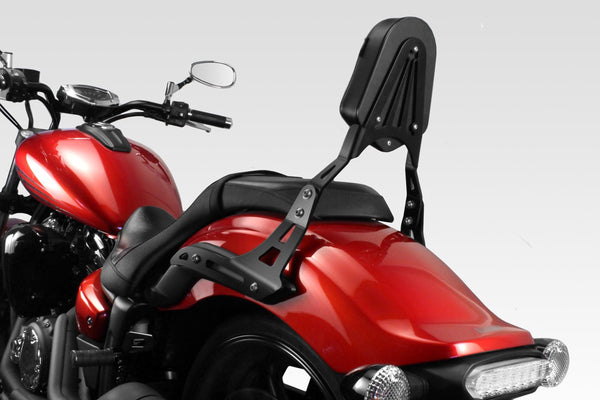 DPM Sissybar for XVS 1300 Custom | S-0780