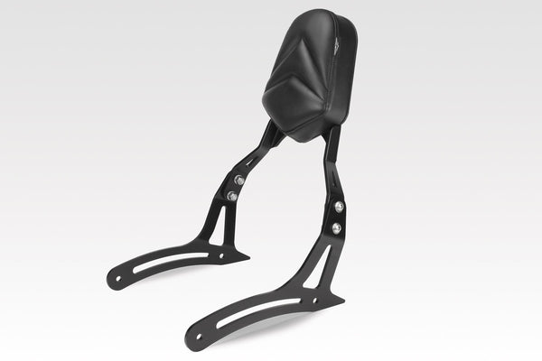 DPM Sissybar for CMX500 REBEL | S-0795