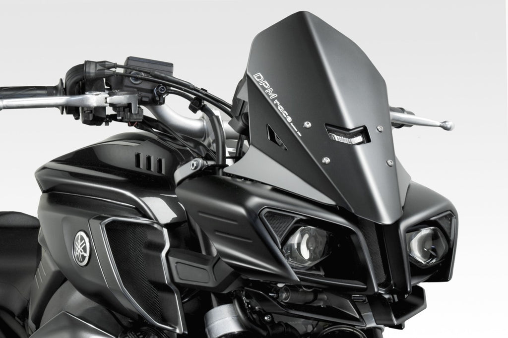 DPM Windshield WARRIOR for MT10 2015-20 | R-0760B