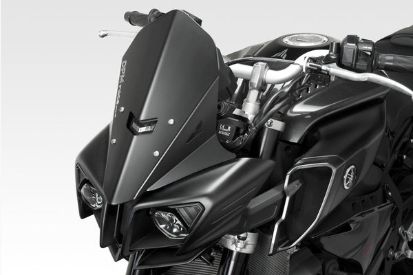 DPM Windshield WARRIOR for MT10 2015-20 | R-0760B