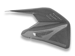 DUCABIKE | Ducati Panigale/Streetfighter V4 2025 Glossy Carbon Swingarm Protector