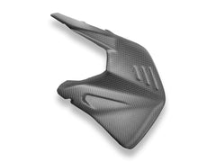 DUCABIKE | Ducati Panigale/Streetfighter V4 2025 Matt Carbon Swingarm Protector