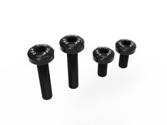 DUCABIKE | Ducati Streetfighter/Panigale V2 2025 Under-Tail Screw Kit