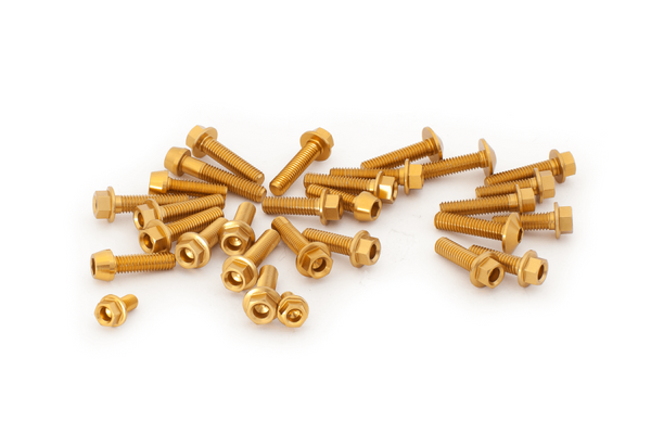 representative photo ergal screws kit