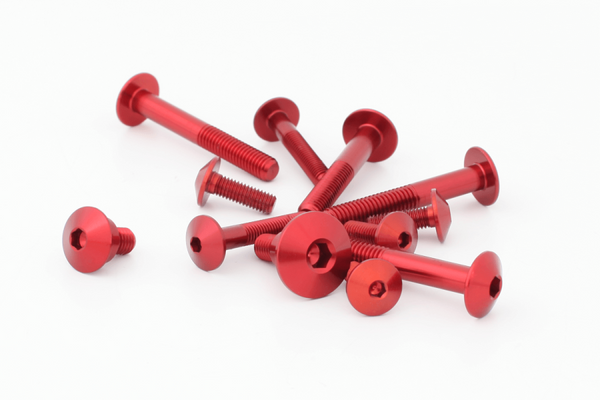 representative photo ergal screws kit