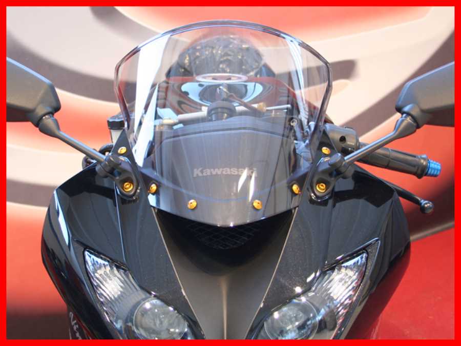 Evotech RC Aprilia RSV 1000 '01-'03 Windscreen Bolt Kit - image 1