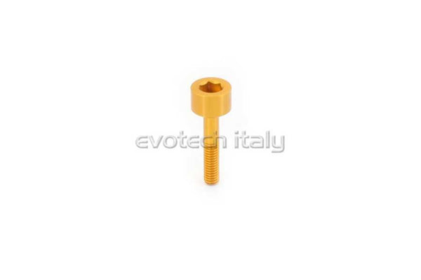 Evotech RC VS-021 7075-T6 Ergal Special Bolt - image 2