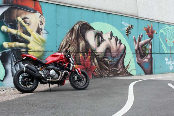 Evotech RC Tail Tidy Ducati Monster 1200 / S '17-'20 - image 1