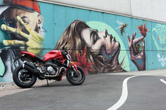 Evotech RC Tail Tidy Ducati Monster 1200 / S '17-'20