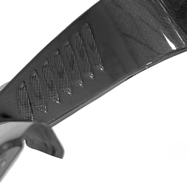 FABSPEED Carbon Fiber 458 Engine Panels - Ferrari 458 Spider