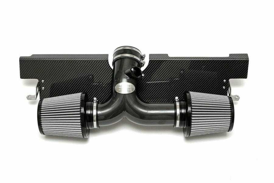 FABSPEED Porsche 997.2 Carrera Carbon Fiber Competition Intake System (2009-2012)